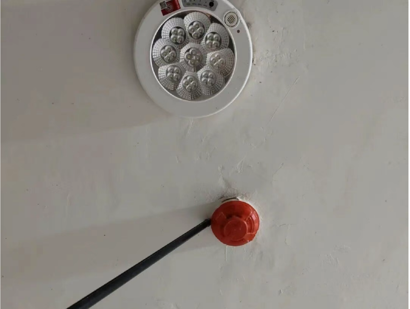 1769056989159852.png 1769056989159852.png